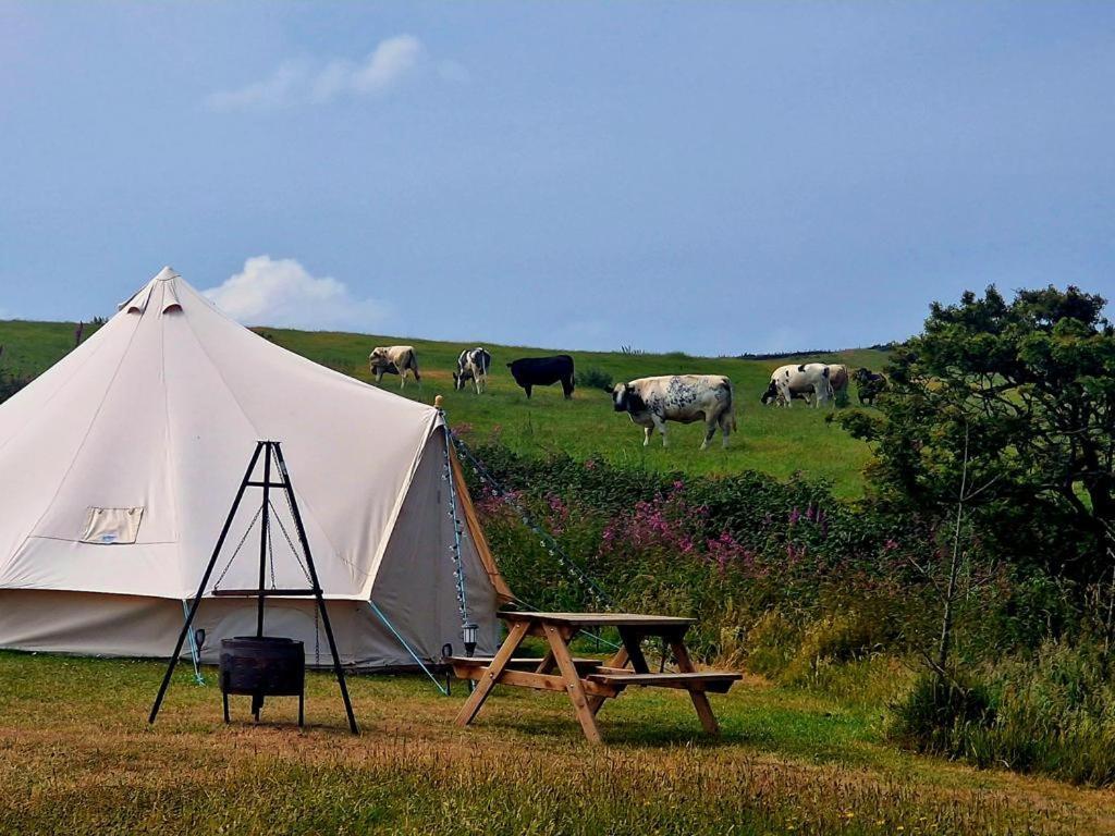 Beautiful 1-Bed Bell Tent In Холихед Экстерьер фото